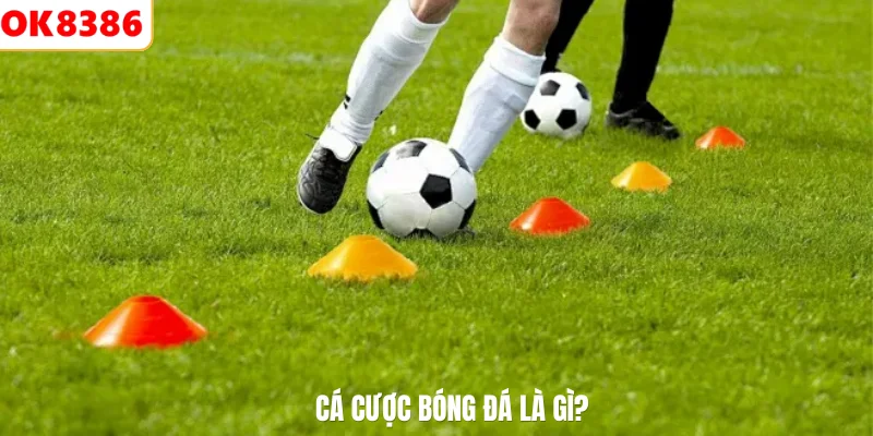 Cá Cược Bóng Đá Là Gì? Kiến Thức Căn Bản Cho Người Chơi 2 Cá cược bóng đá là gì?