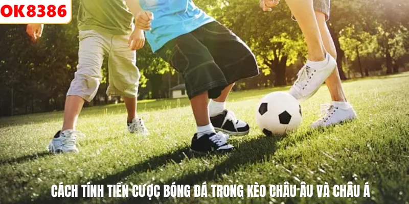 Cách Tính Tiền Cược Bóng Đá Hiệu Quả Nhất Tại Sảnh Thể Thao 3 Cách tính tiền cược bóng đá trong kèo châu âu và châu á