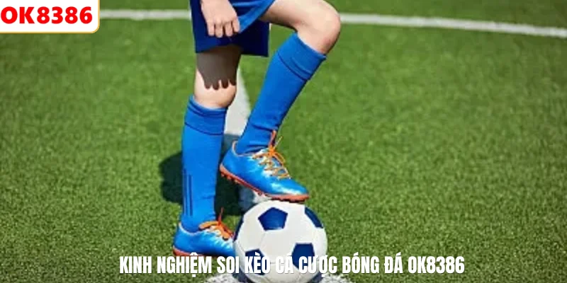Cá Cược Bóng Đá Là Gì? Kiến Thức Căn Bản Cho Người Chơi 3 Kinh nghiệm soi kèo cá cược bóng đá OK8386