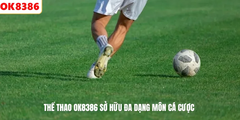 Thể Thao 1 Thể thao OK8386 sở hữu đa dạng môn cá cược